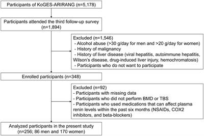 Sex-specific association of low-renin hypertension with metabolic and musculoskeletal health in Korean older adults